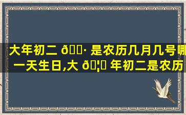 大年初二 🌷 是农历几月几号哪一天生日,大 🦊 年初二是农历几月几号哪一天生日好
